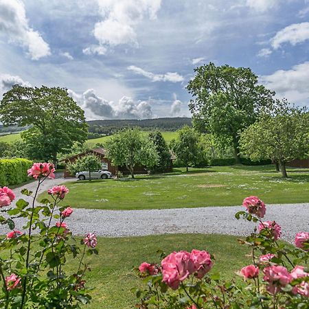 Laburnum Lodge Sleeps 6 Wheelchair Access Minehead Kültér fotó