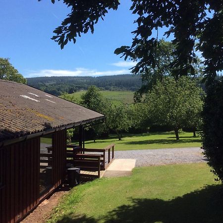 Laburnum Lodge Sleeps 6 Wheelchair Access Minehead Kültér fotó